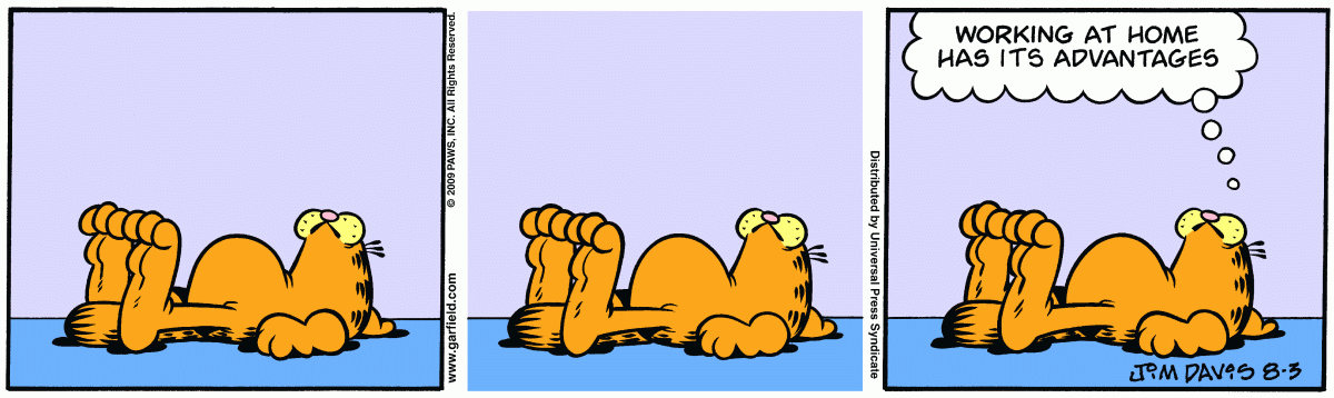Garfield, August 3, 2009