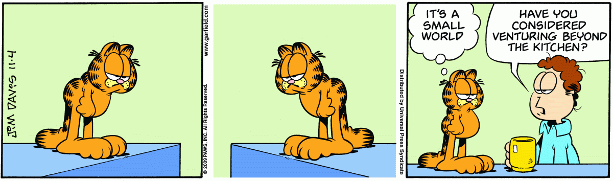 Garfield, November 4, 2009