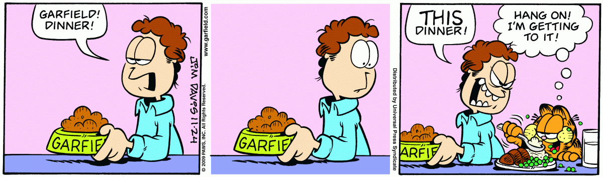 Garfield, November 24, 2009