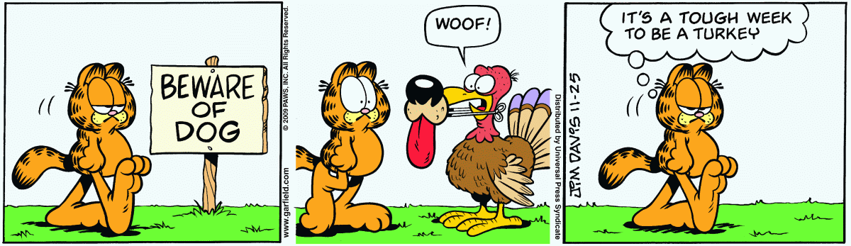 Garfield, November 25, 2009
