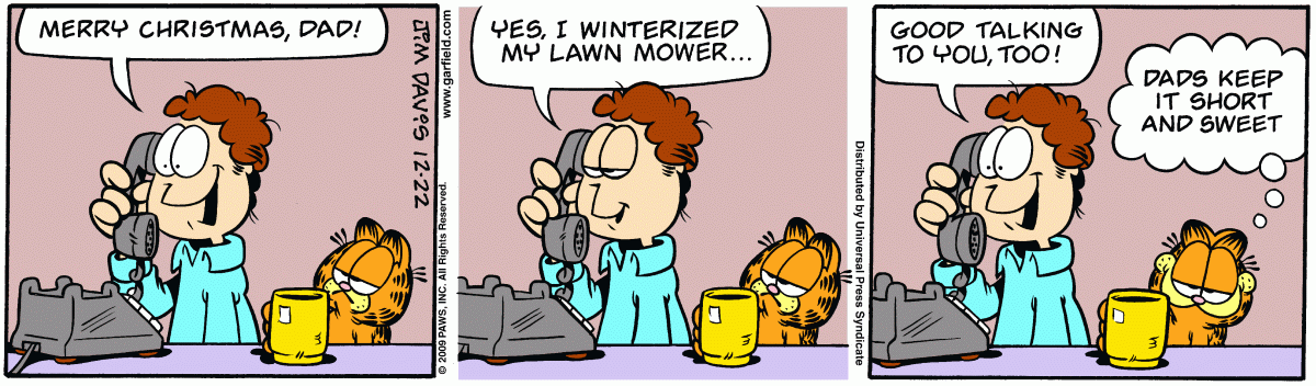 Garfield, December 22, 2009