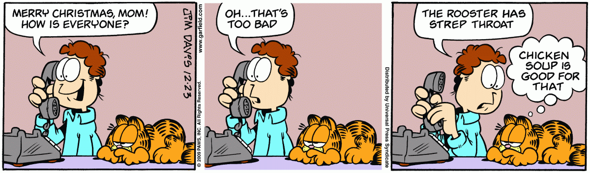 Garfield, December 23, 2009