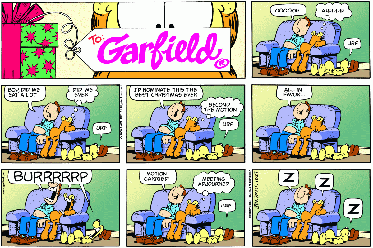 Garfield, December 27, 2009