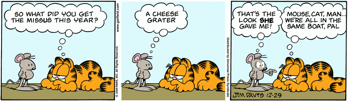 Garfield, December 29, 2009