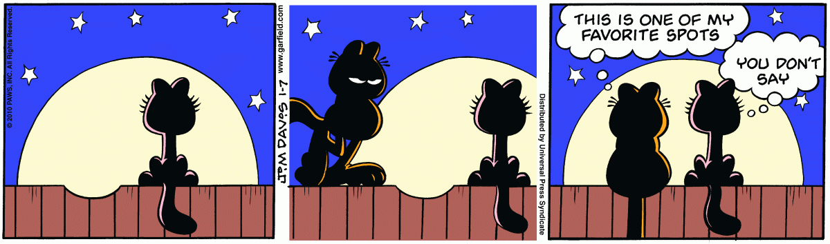 Garfield, January 7, 2010