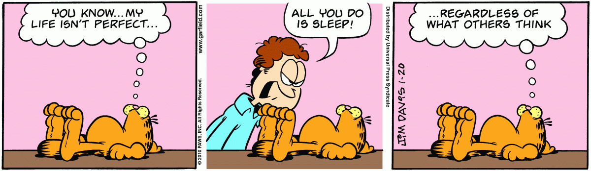 Garfield, January 20, 2010