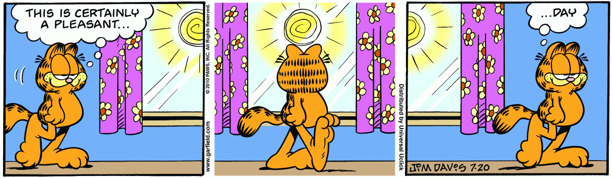 Garfield, July 20, 2010