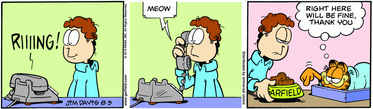 Garfield, August 3, 2010