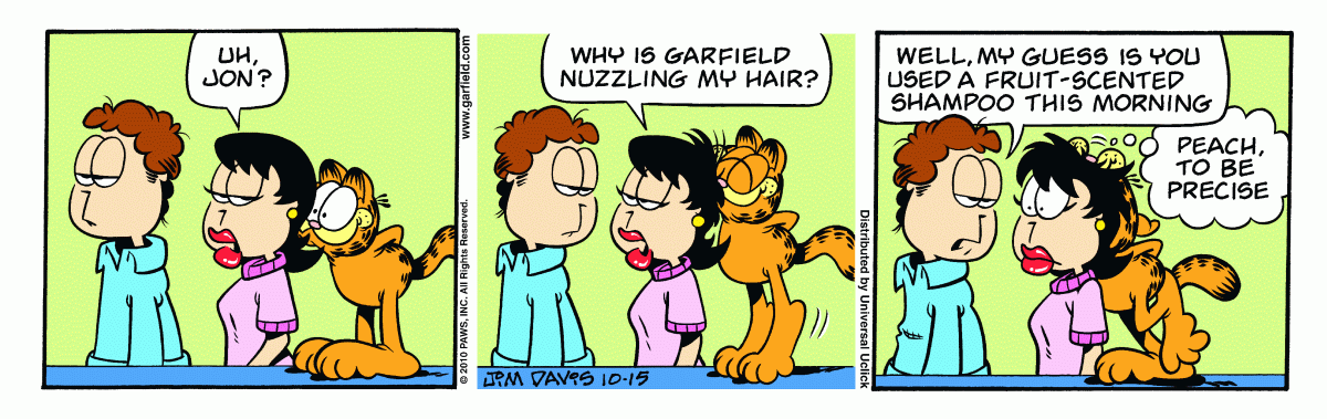 Garfield comic strip for Friday, October 15, 2010