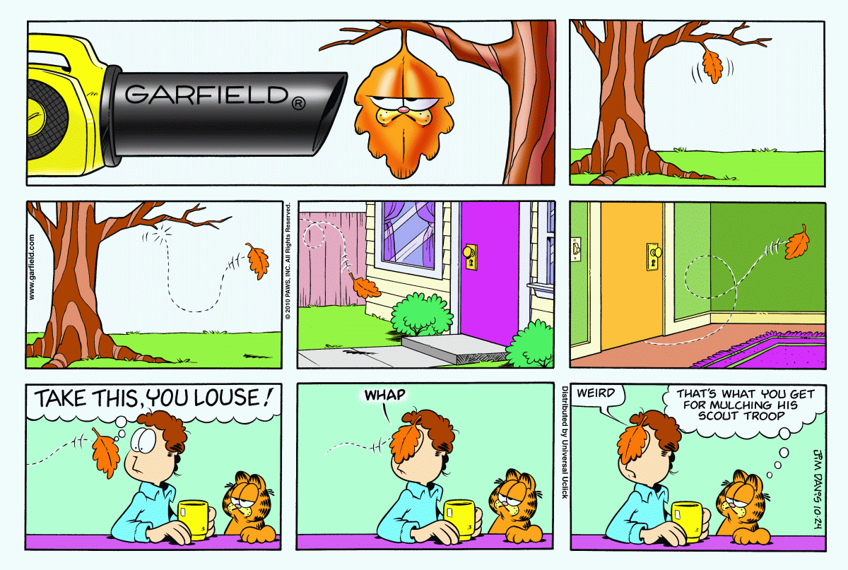 Garfield comic strip for Sunday, October 24, 2010