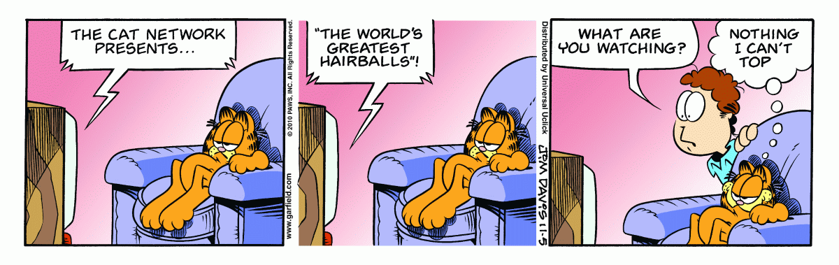 Garfield, November 5, 2010