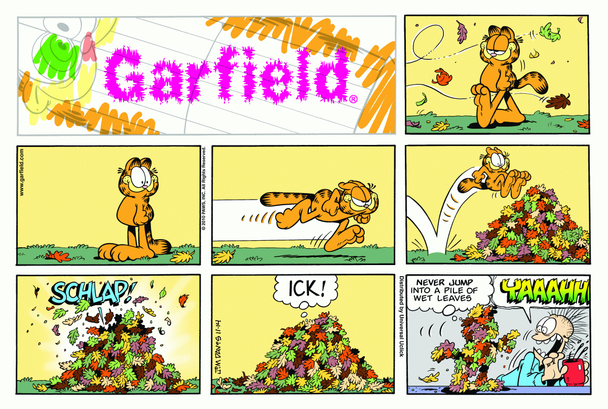 Garfield, November 14, 2010