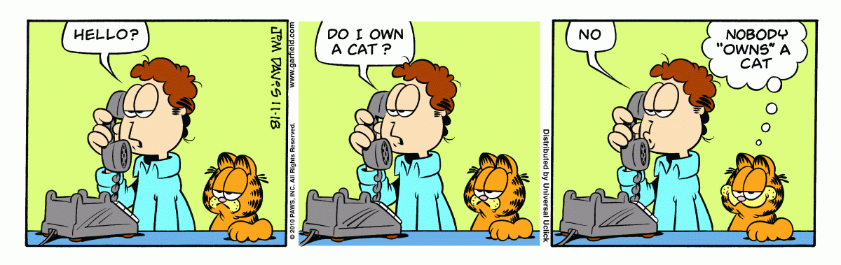 Garfield comic strip for Thursday, November 18, 2010