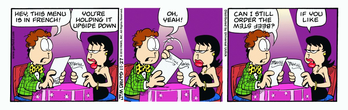 Garfield, November 27, 2010