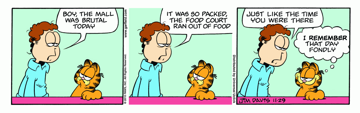 Garfield, November 29, 2010