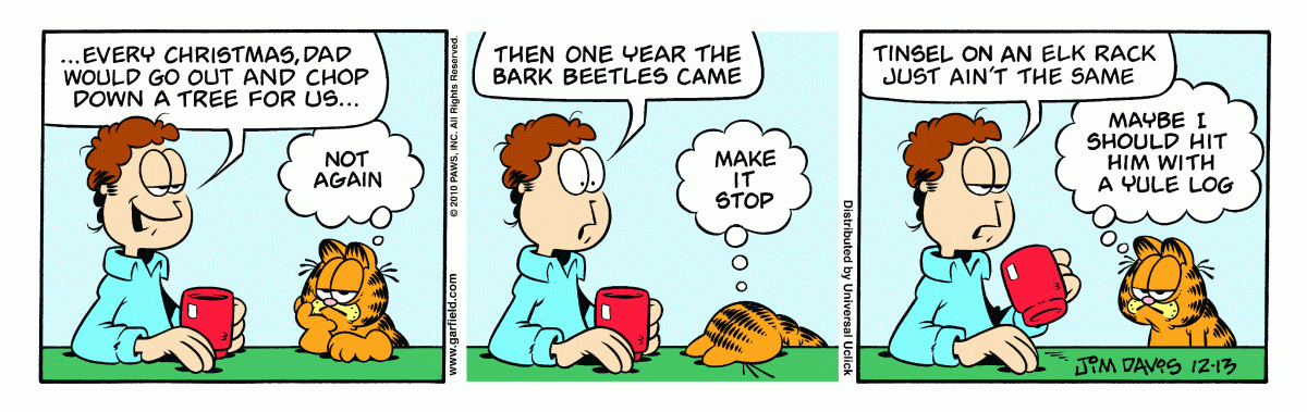 Garfield, December 13, 2010