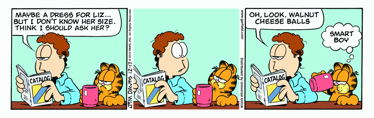 Garfield, December 17, 2010