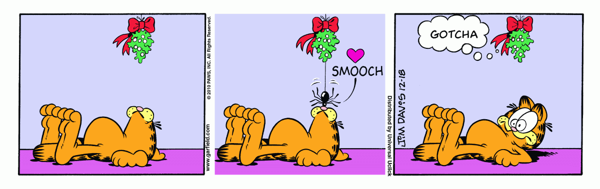 Garfield, December 18, 2010