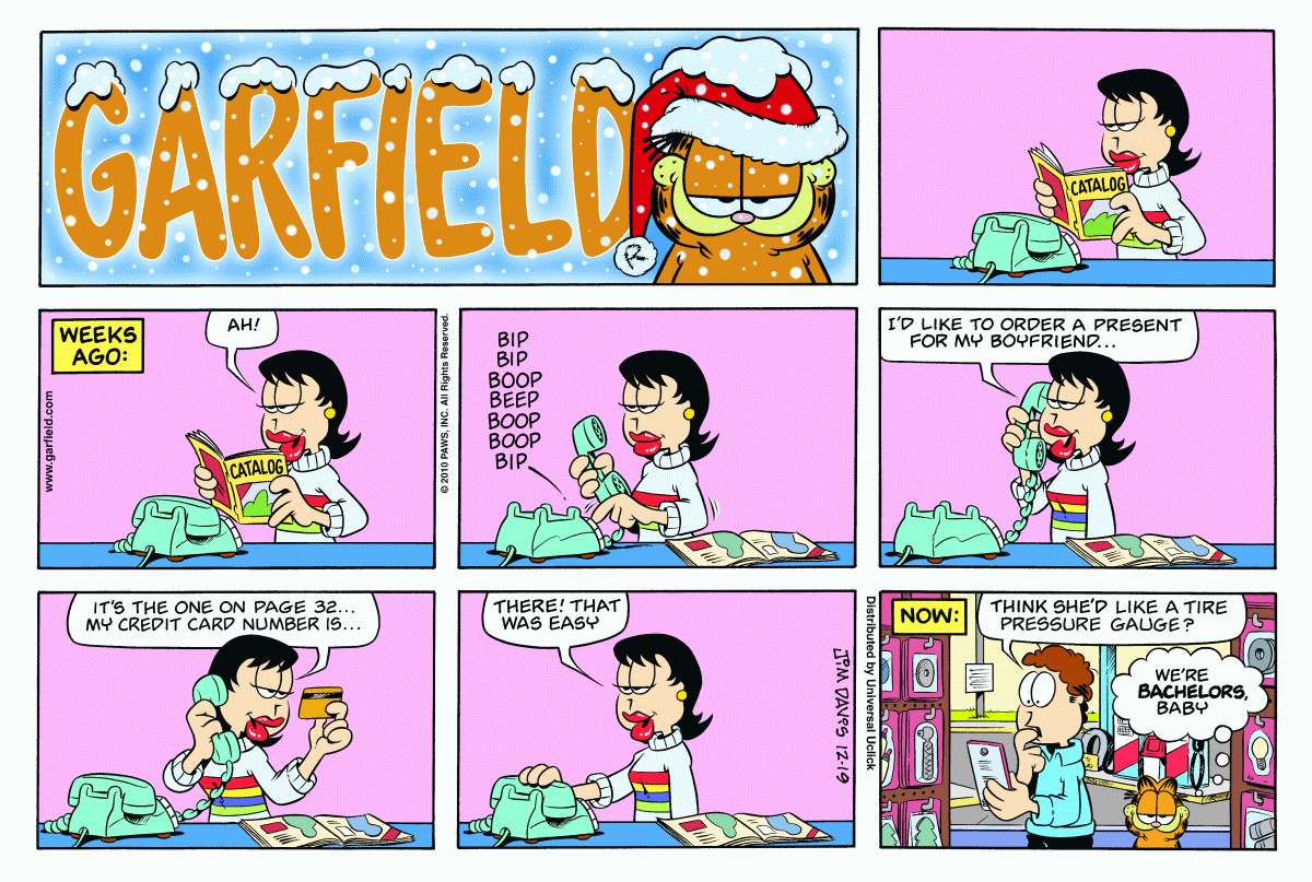 Garfield, December 19, 2010