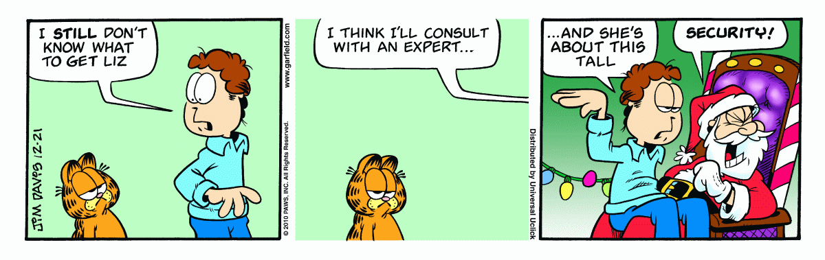 Garfield, December 21, 2010