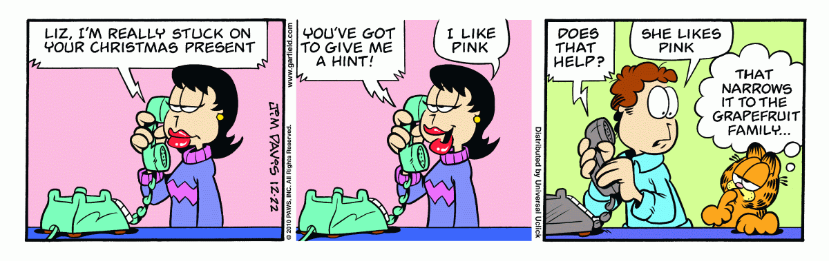 Garfield, December 22, 2010