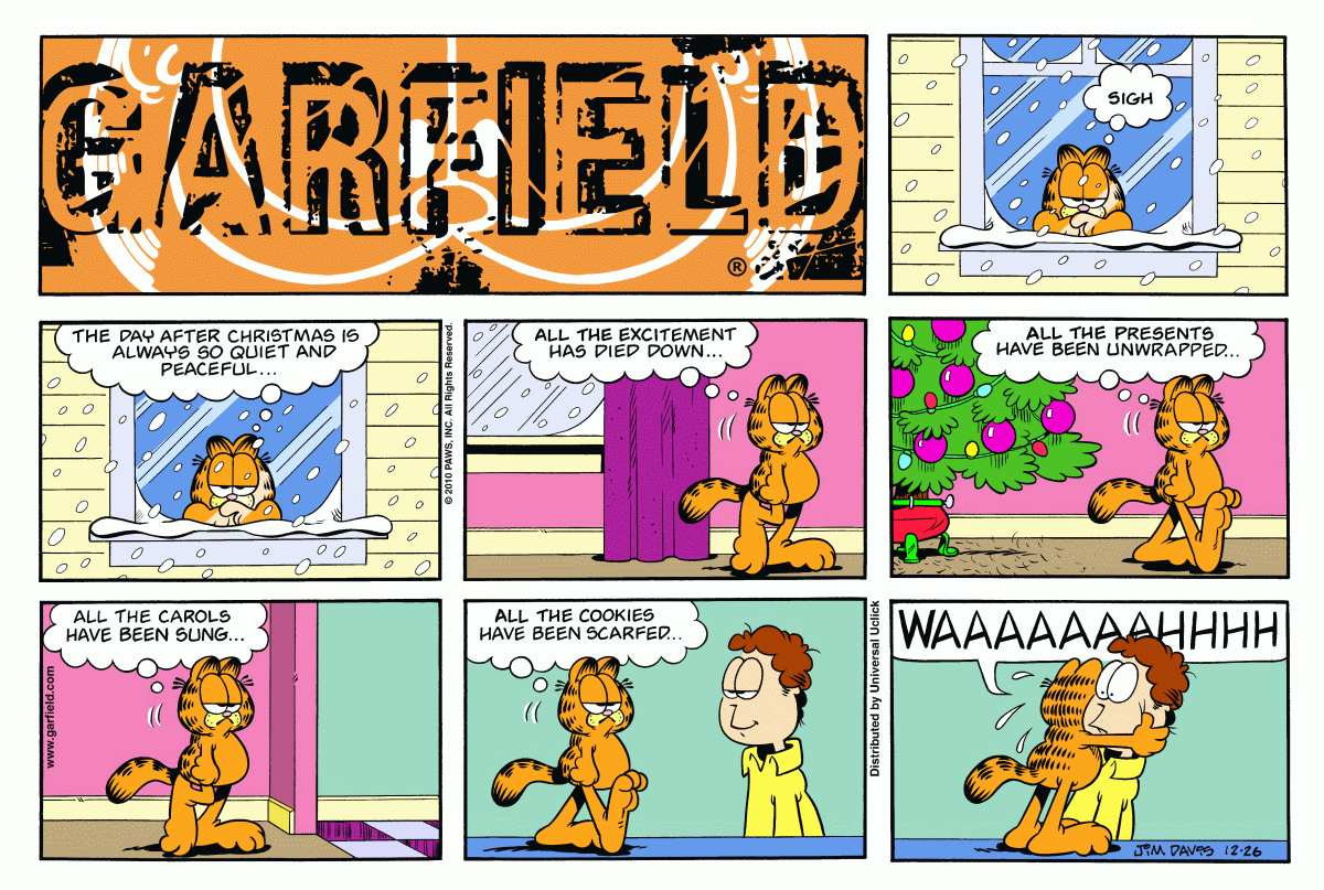 Garfield, December 26, 2010