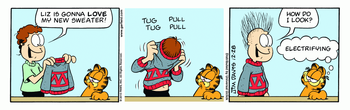 Garfield, December 28, 2010
