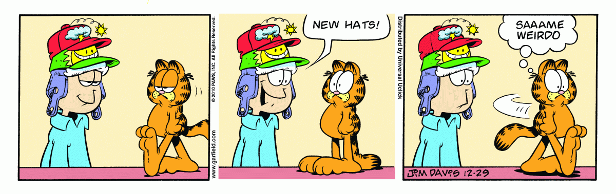 Garfield, December 29, 2010