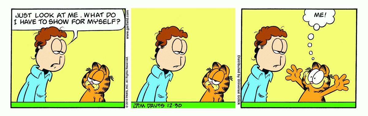 Garfield, December 30, 2010