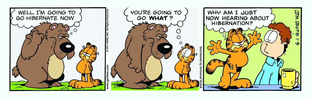 Garfield, January 3, 2011