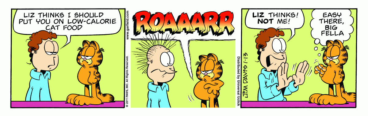 Garfield, January 13, 2011