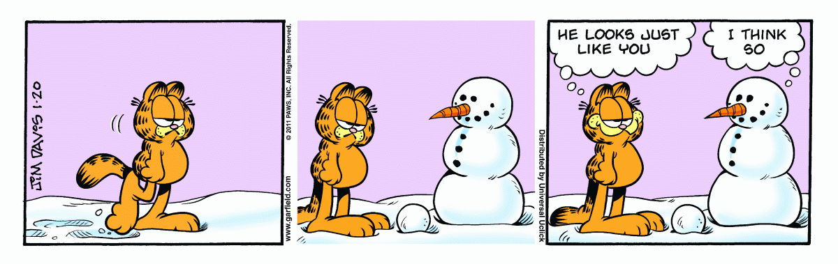 Garfield, January 20, 2011