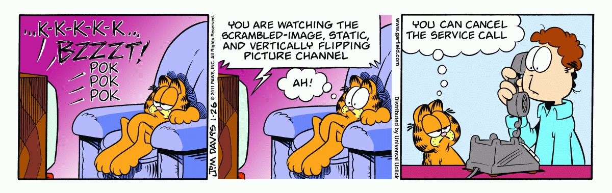 Garfield, January 26, 2011