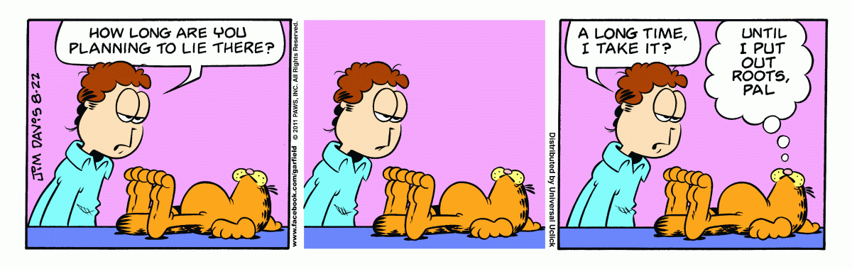 Garfield, August 22, 2011