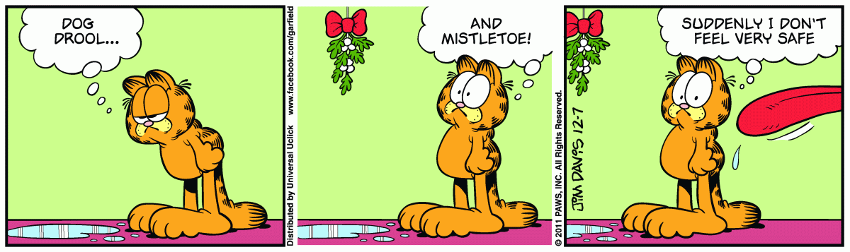 Garfield, December 7, 2011