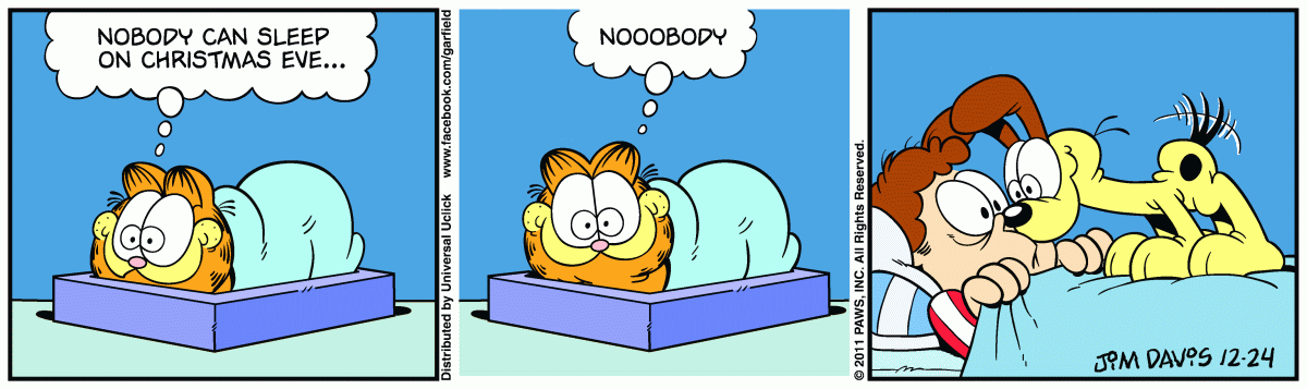 Garfield, December 24, 2011