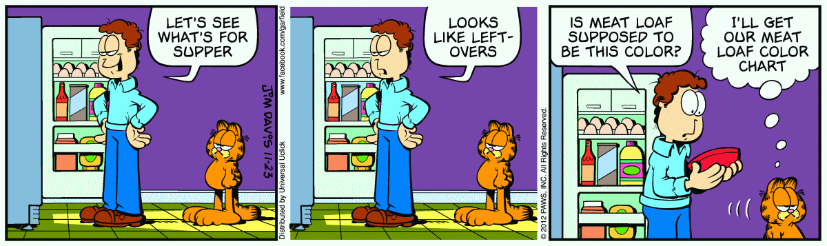 Garfield, November 23, 2012