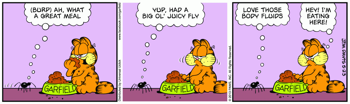 Garfield, May 23, 2013