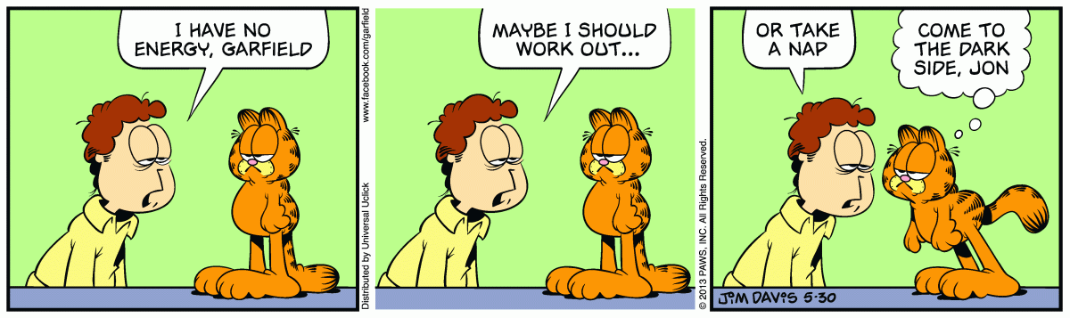 Garfield, May 30, 2013