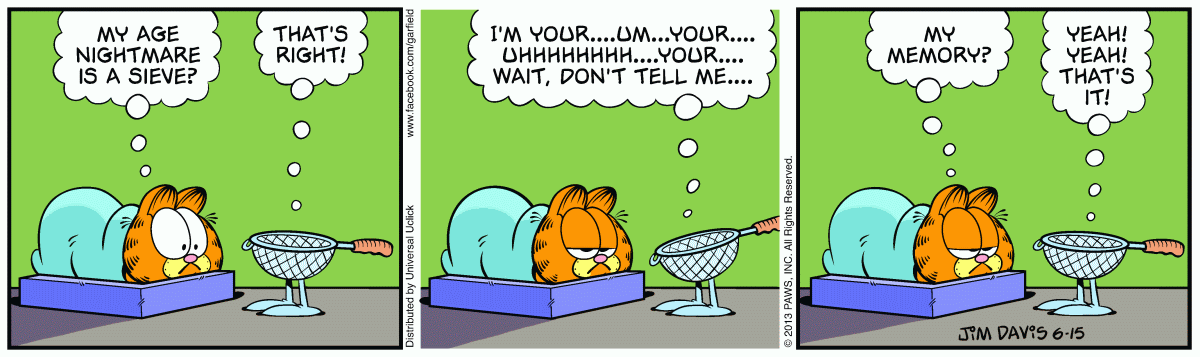 Garfield, June 15, 2013