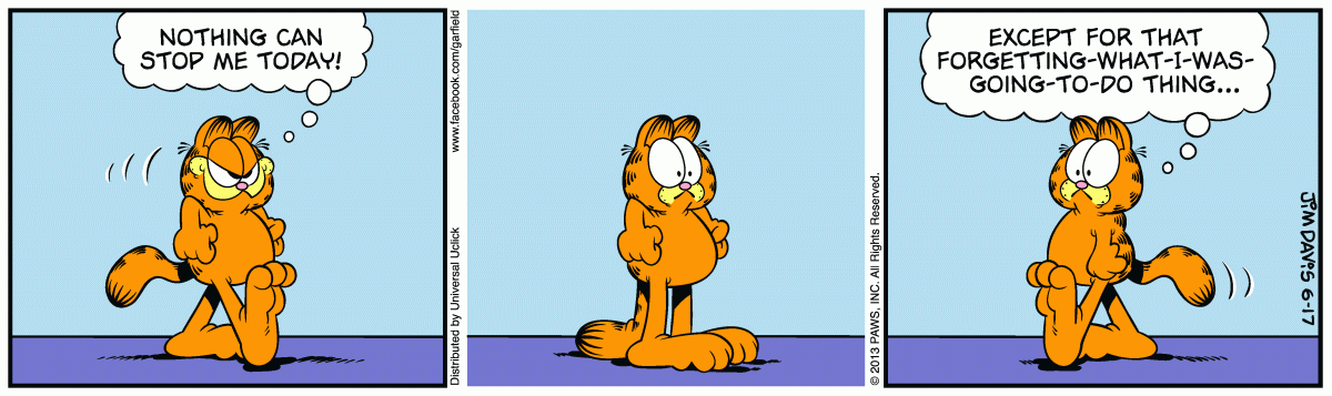 Garfield, June 17, 2013