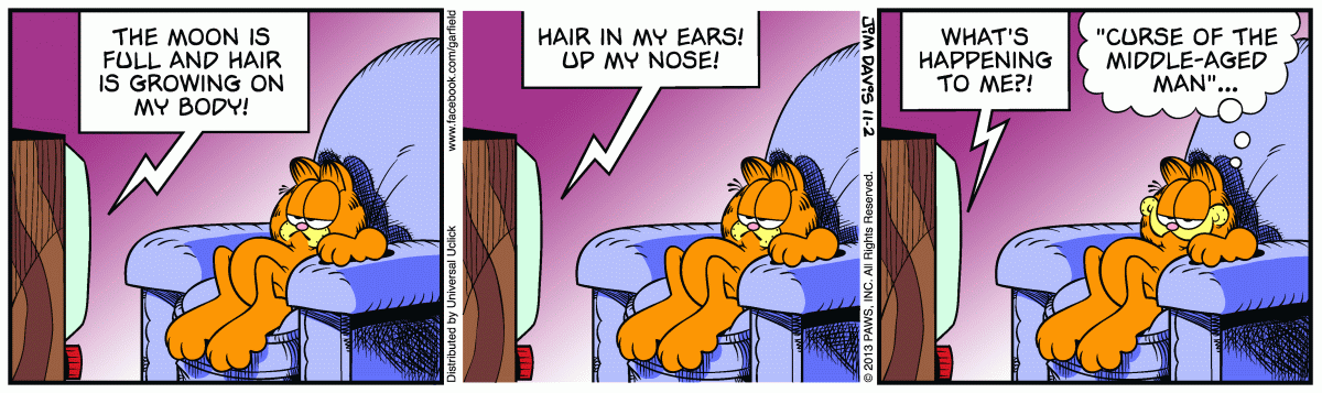 Garfield, November 2, 2013