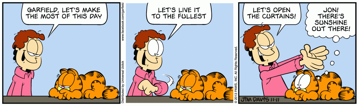 Garfield, November 11, 2013
