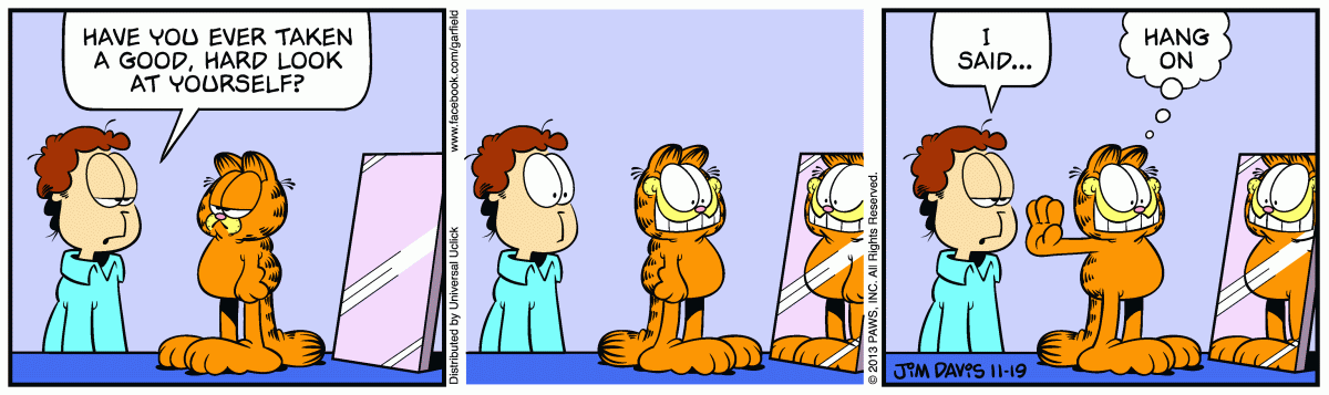 Garfield, November 19, 2013