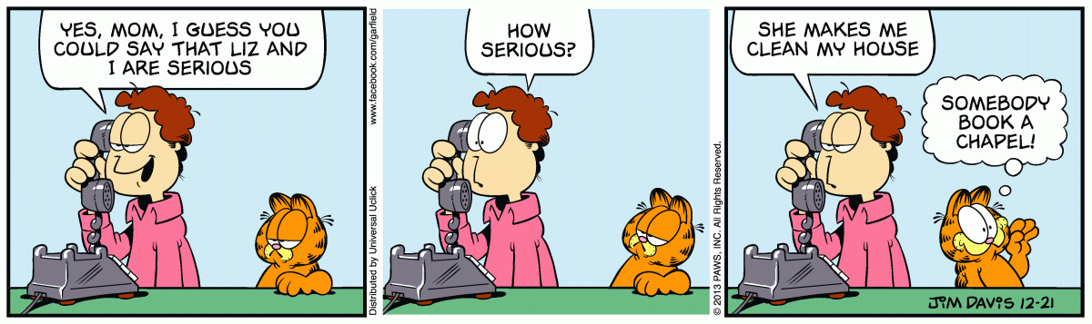 Garfield, December 21, 2013