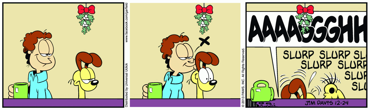 Garfield, December 24, 2013