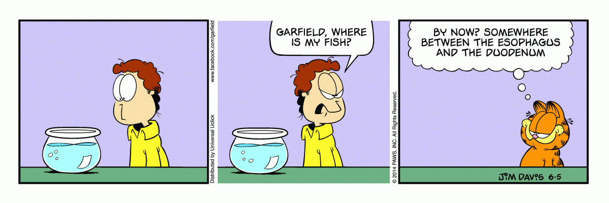 Garfield, June 5, 2014