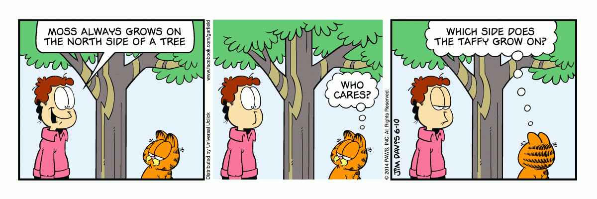 Garfield, June 10, 2014