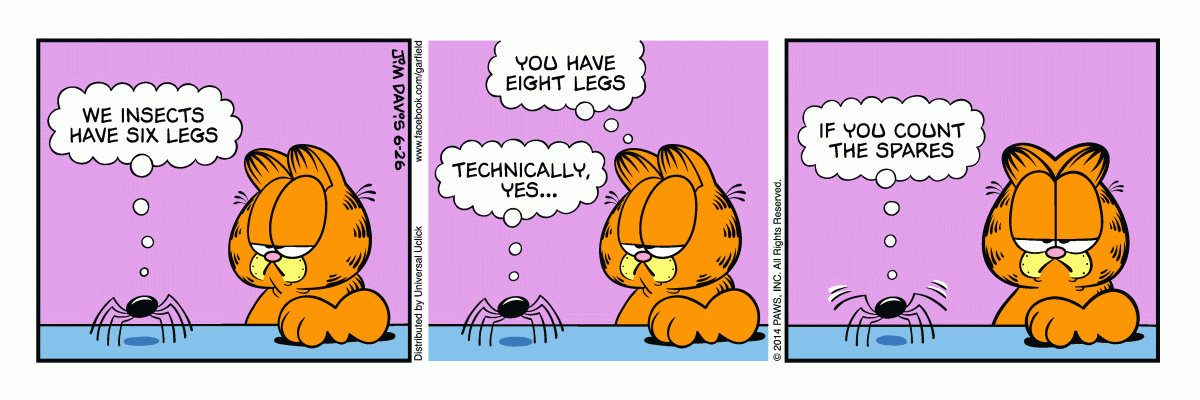 Garfield, June 26, 2014