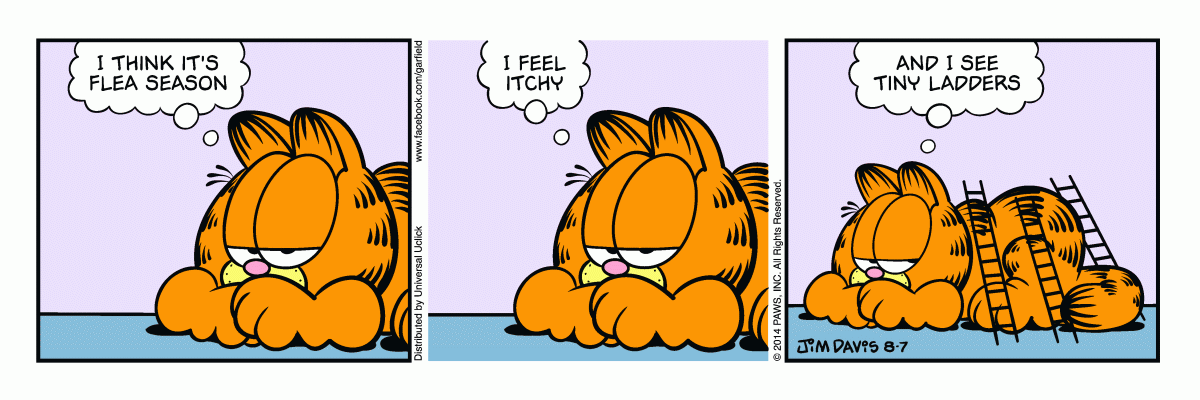 Garfield, August 7, 2014